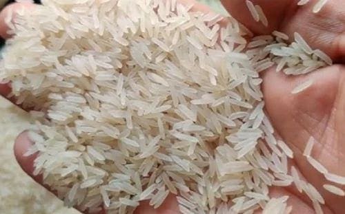 Sharbati Steam Basmati Rice